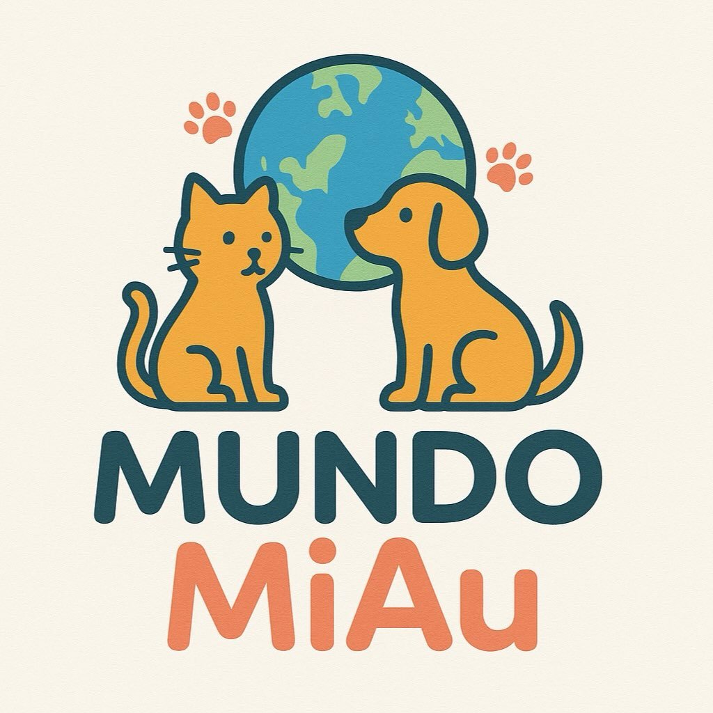 Imagem Destacada da Ação